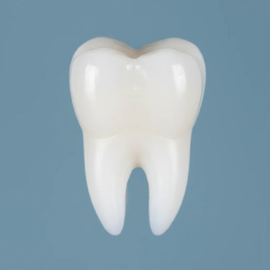 https://ynhrnsmwlsrihguevngr.supabase.co/storage/v1/object/public/assets/medias/395a33b0-f4c6-430e-87cc-01a7fb6eecbd.webp
